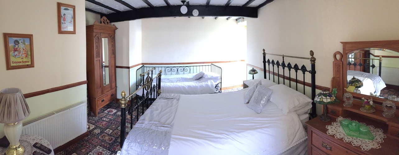 Standard Twin room with view