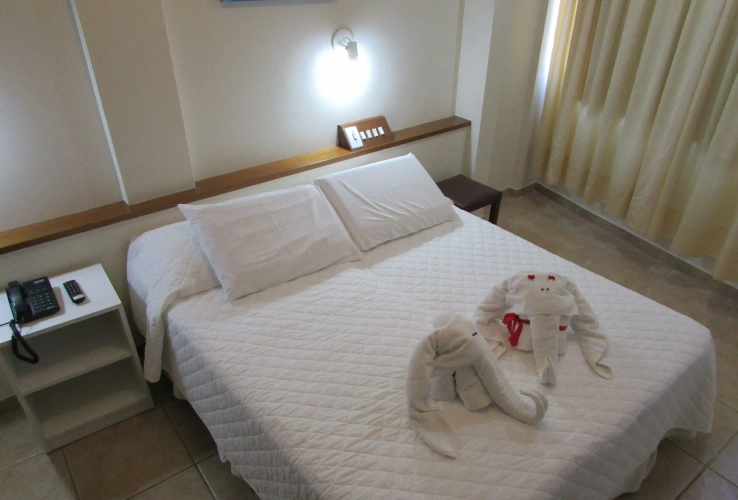 Superior Double room with city view