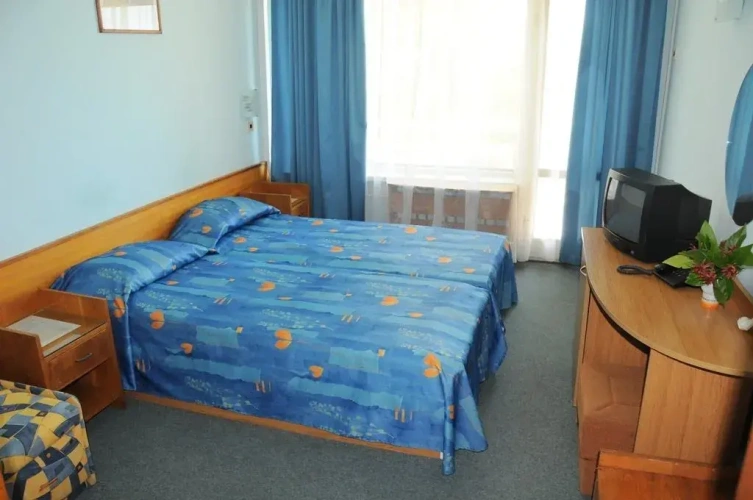 Standard Double room with park view