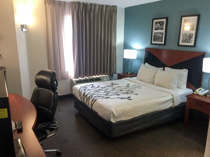 Standard Double room