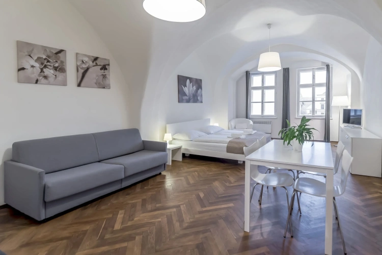 Deluxe Apartment with view