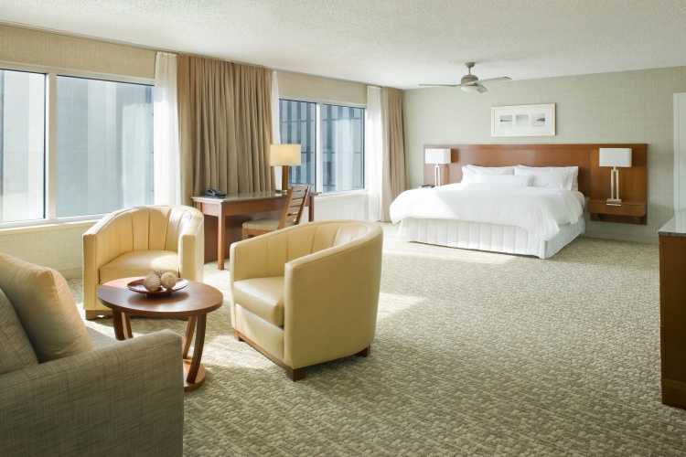 1 Bedroom Executive Suite
