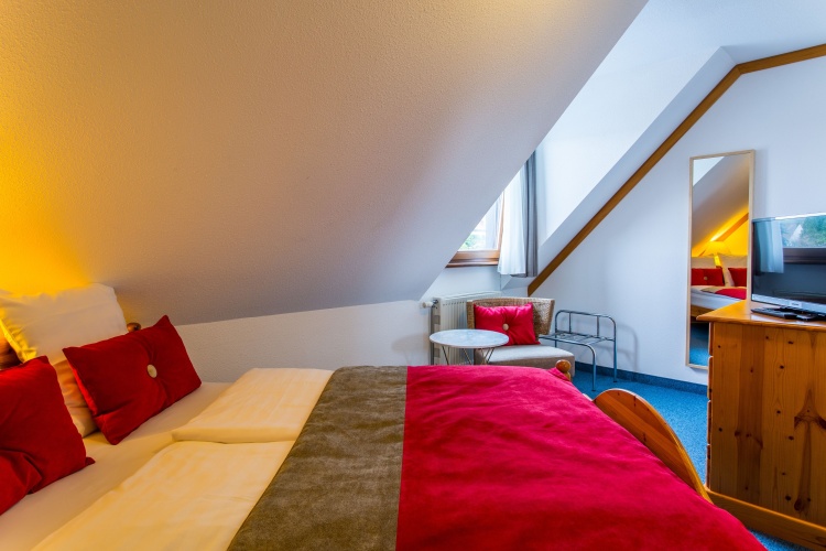 Standard Double room with view