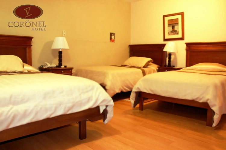 Standard Triple room