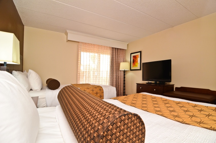 Quadruple Suite