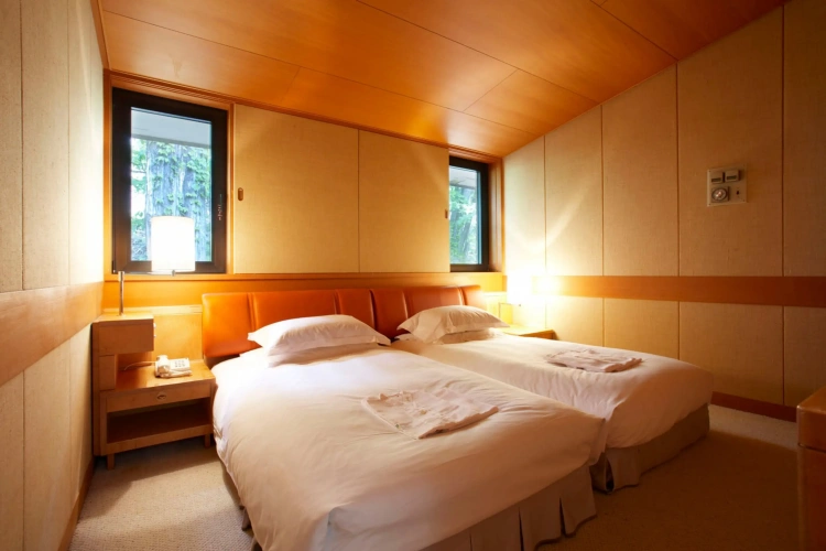 Luxury room