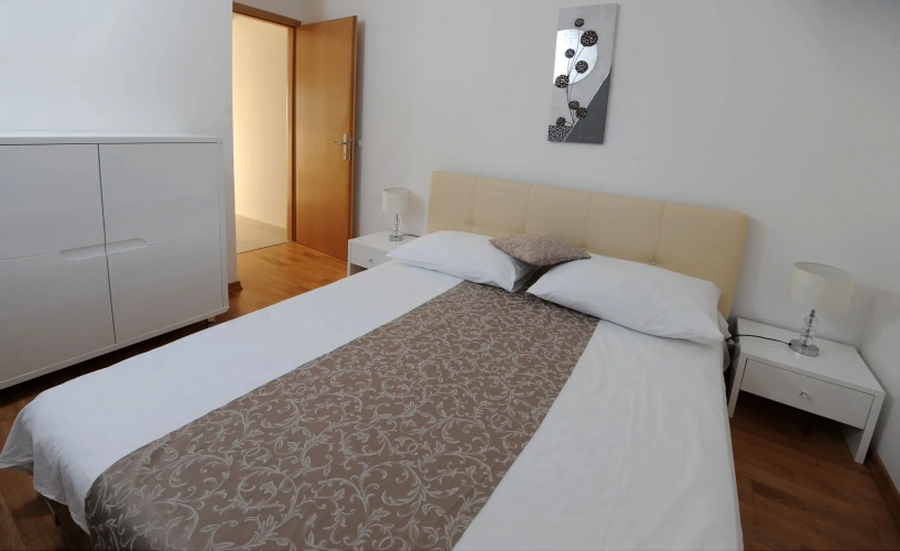 Luxury Apartment