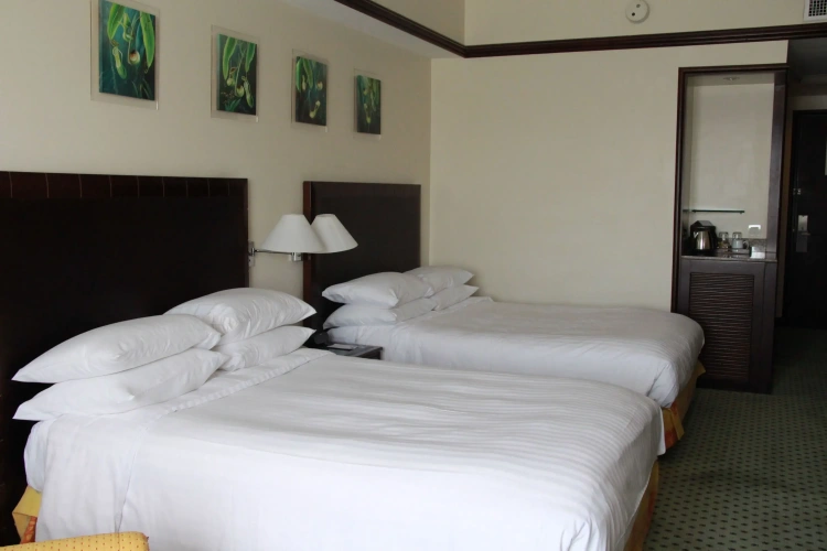 Deluxe Quadruple room