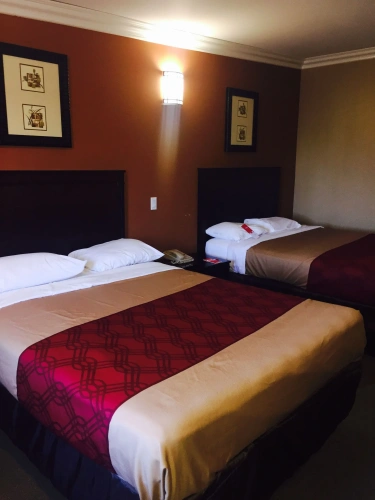 Deluxe Quadruple room with pool view