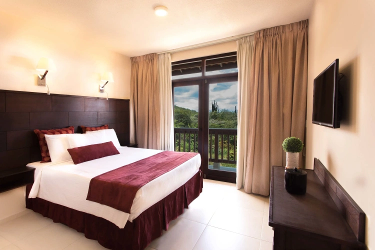 Deluxe Double room with ocean view