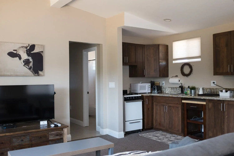 1 Bedroom Deluxe Double Suite