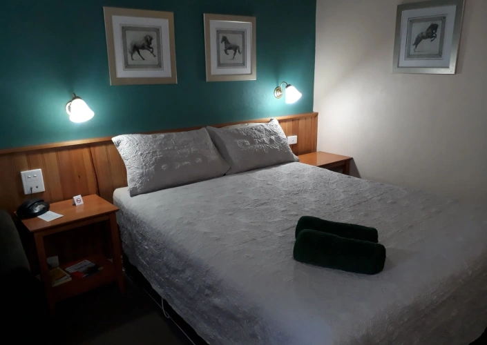 Deluxe Double Basement room
