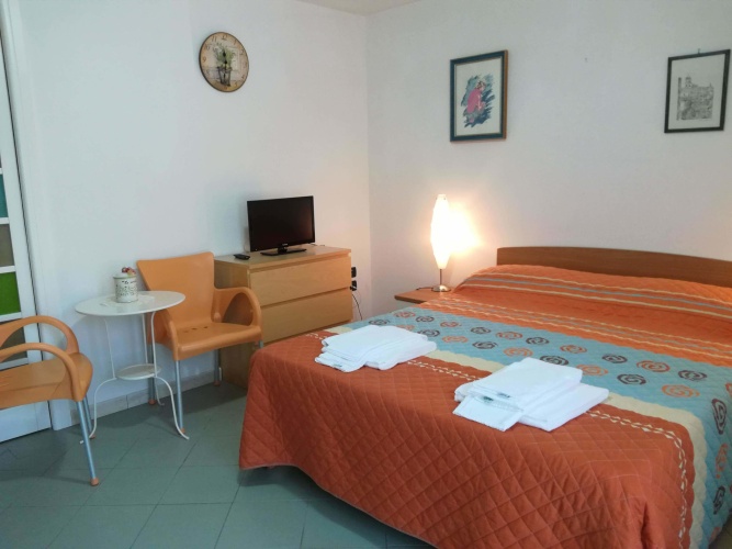 1 Bedroom Classic Studio with garden view