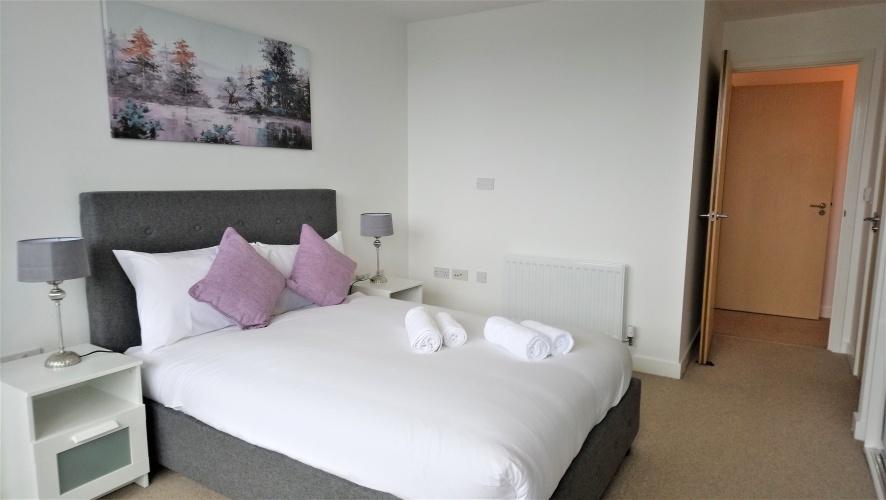 1 Bedroom Apartment with city view