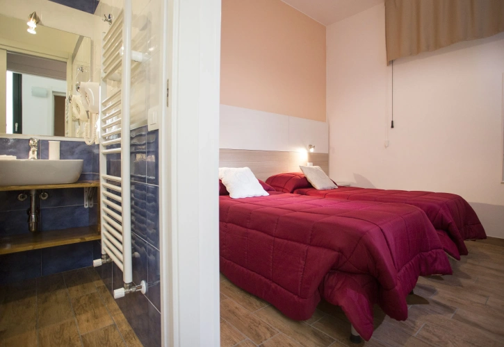 1 Bedroom Economy Double room