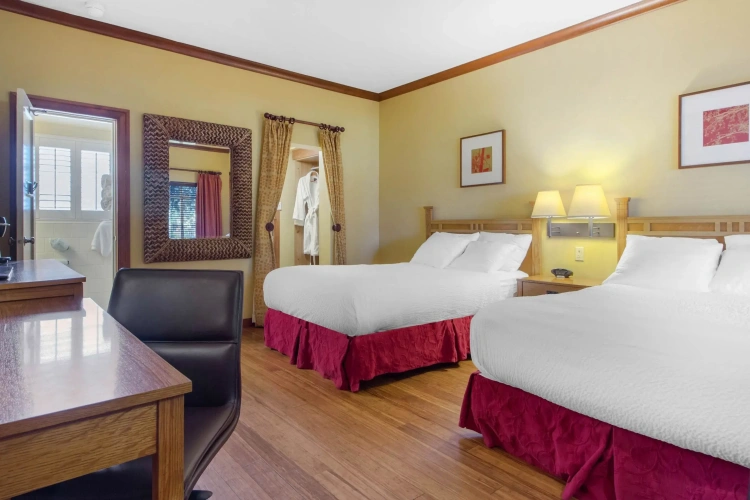 Standard Quadruple room