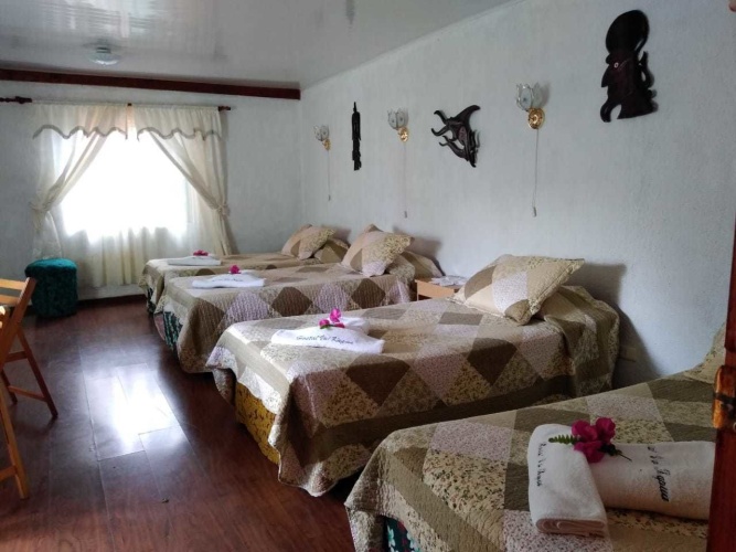 Standard Double room with garden view