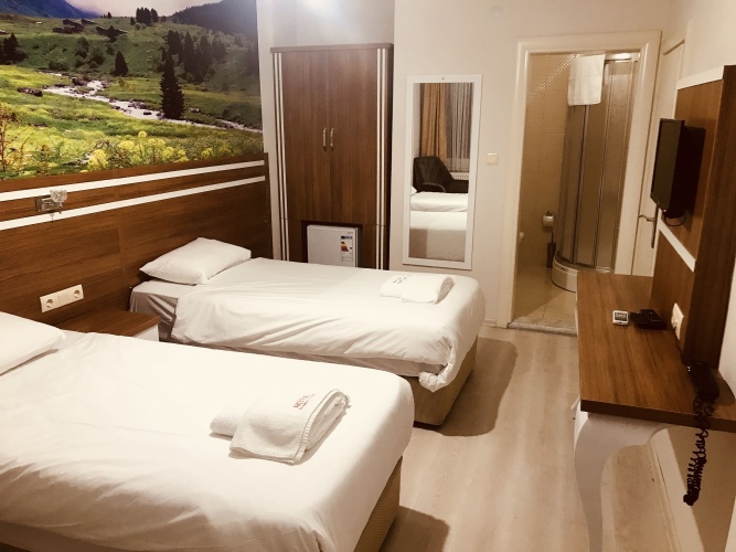 Standard Double room with balcony and with view