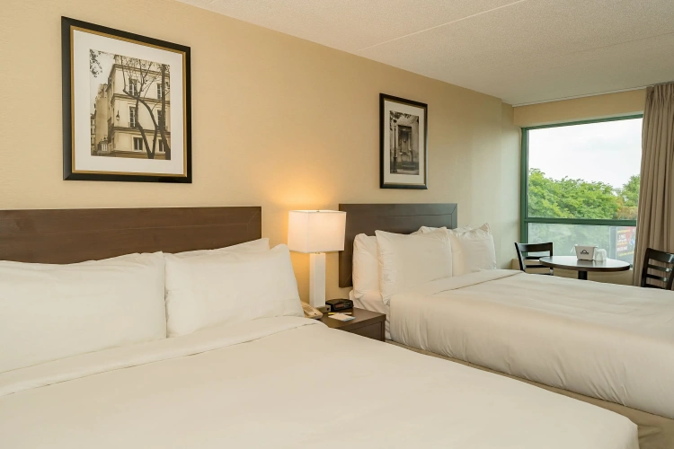 Standard Double room