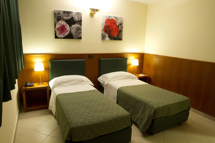 Standard Twin room