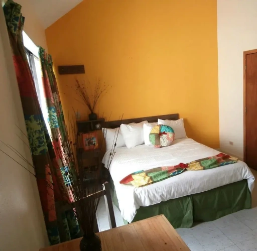 Standard Double room with balcony and with view