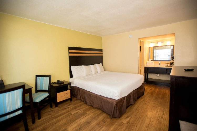 Standard Double room with ocean view