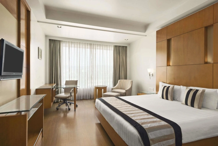 Business Double Club room