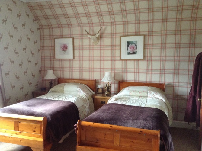 Comfort Twin room with garden view