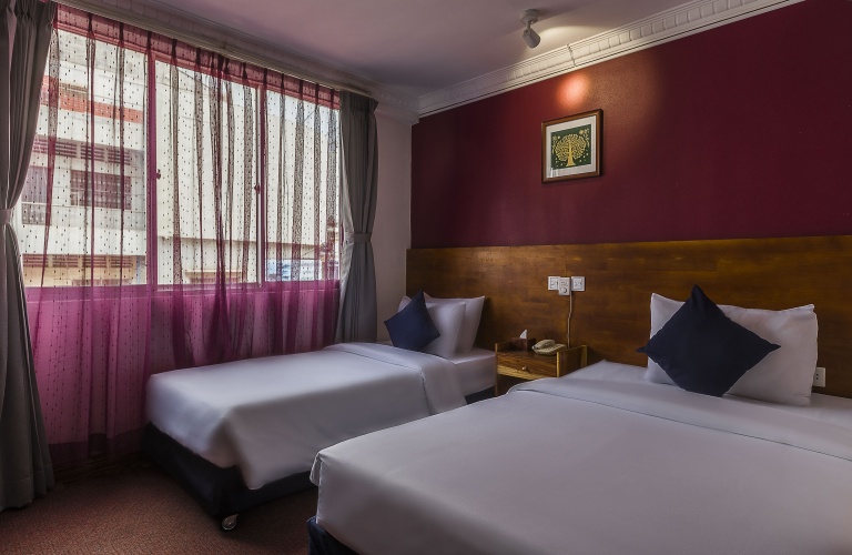 Superior Twin room with city view