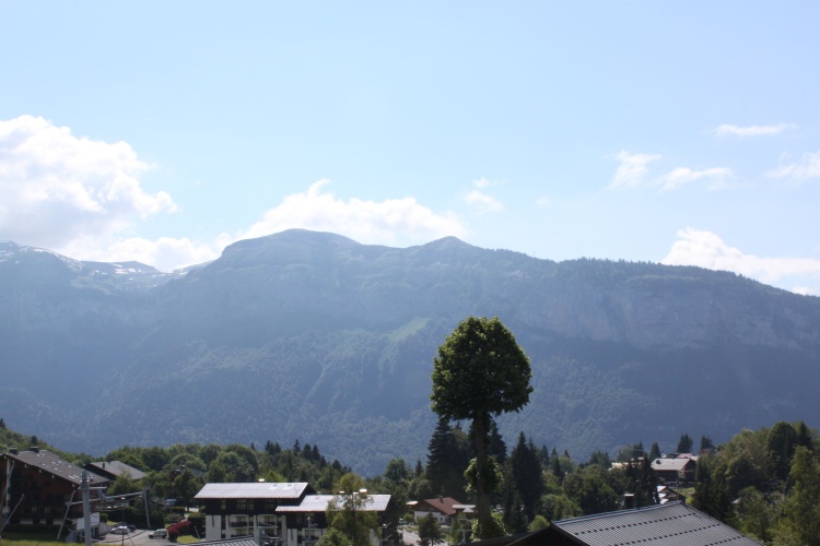 Standard Double room with view