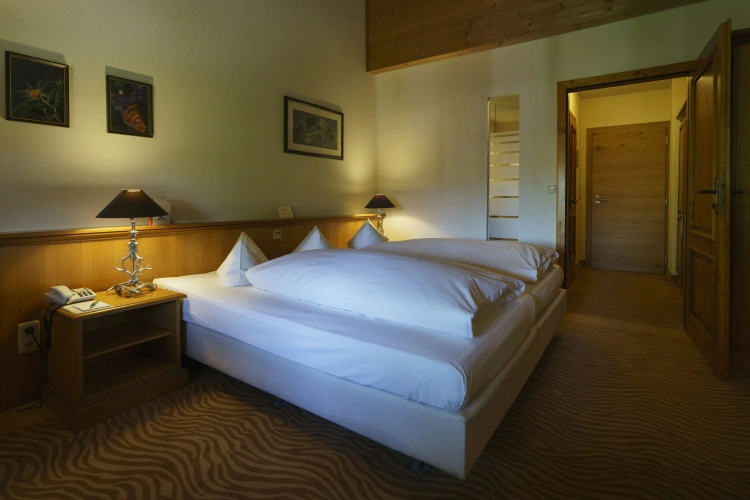 Standard Double room with balcony and with view