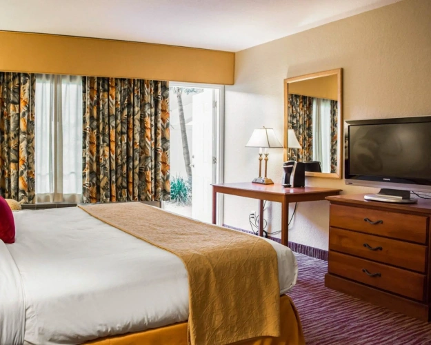 Standard Double room with balcony and with city view
