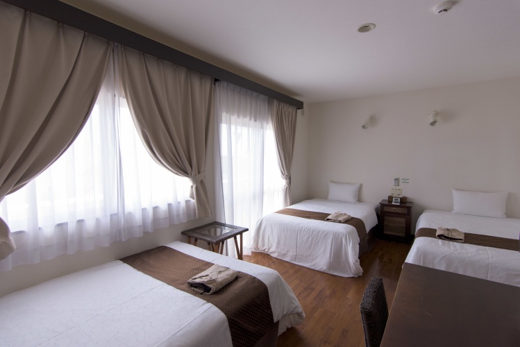 Standard Triple room