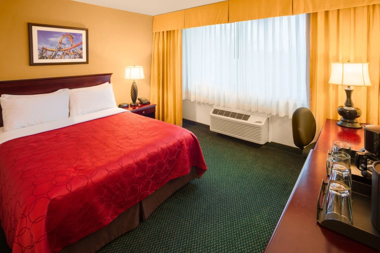 Standard Double room