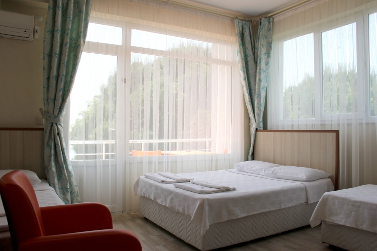 Standard Double room with balcony and with sea view