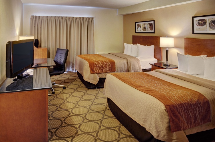 Deluxe Quadruple Basement room