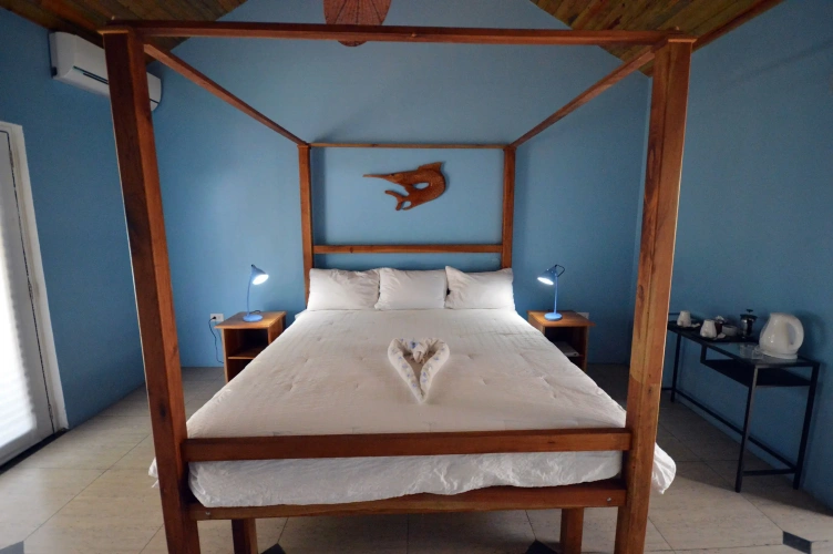 Standard Double room with ocean view