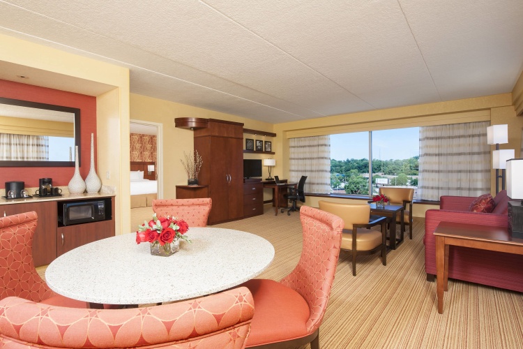 1 Bedroom Suite