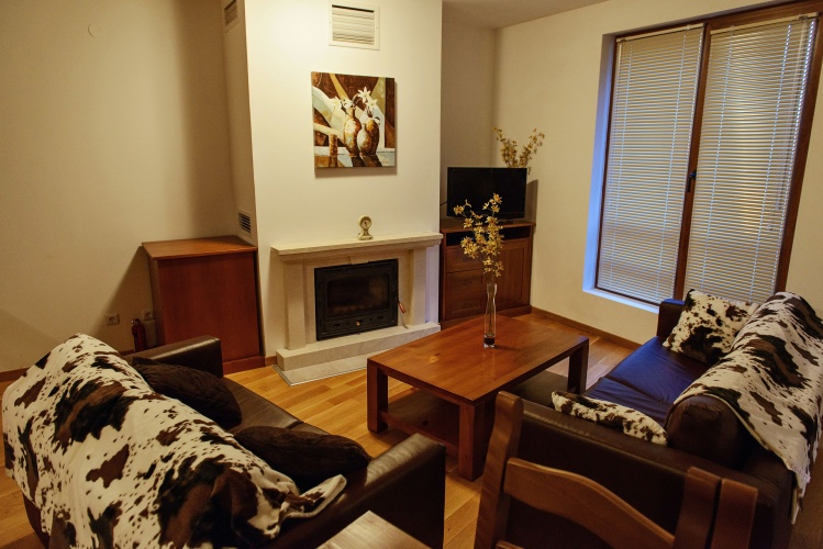 1 Bedroom Apartment
