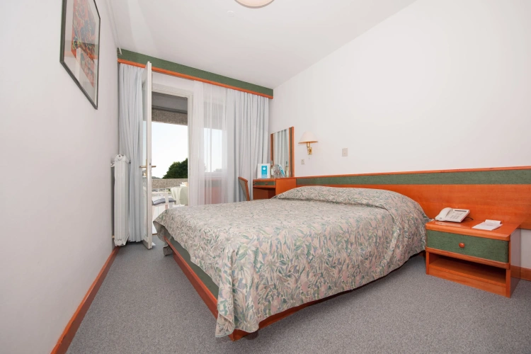 Economy Double room with balcony and with park view