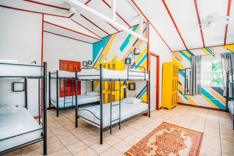 Bed in Dorm