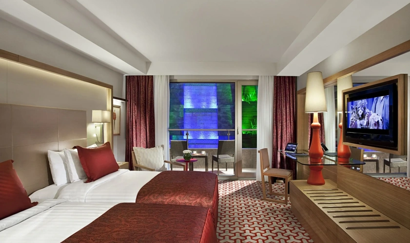 Superior Twin room with city view