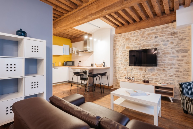 Luxury Apartment
