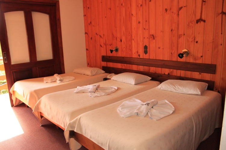 Deluxe Triple room