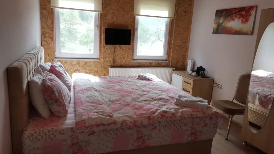 Standard room with mountain view