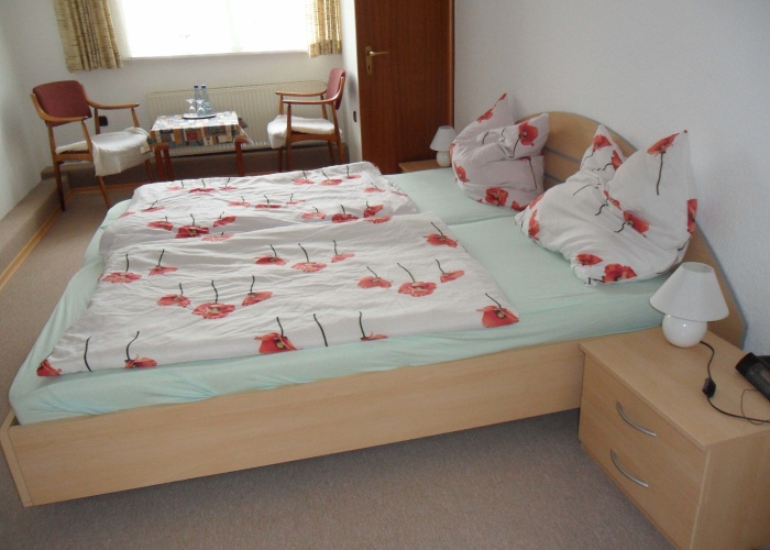 Standard Double room
