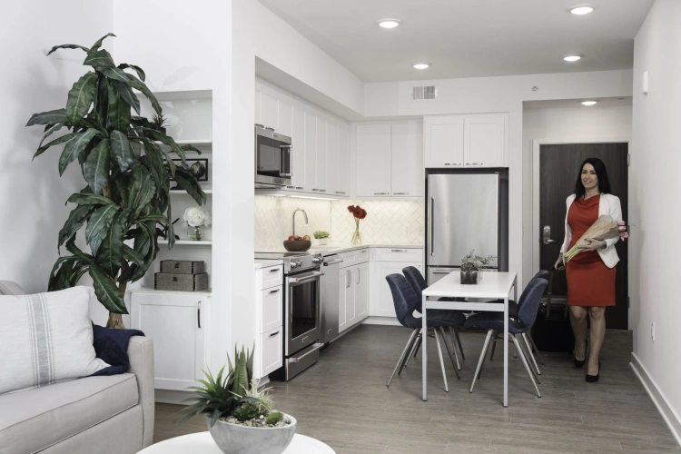 1 Bedroom Apartment