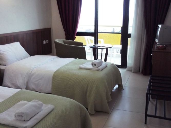Standard Double room with balcony and with view