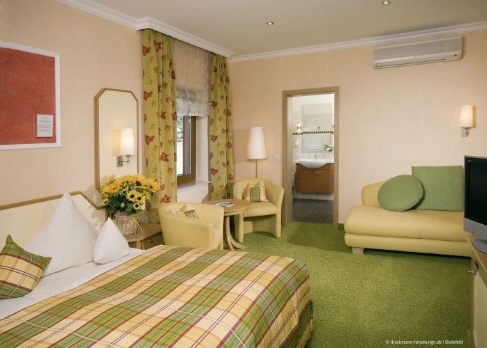 Superior Double room with river view