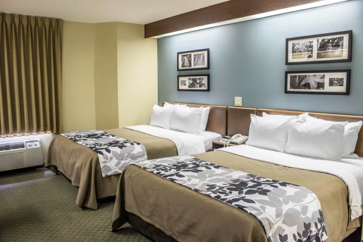 Standard Quadruple room